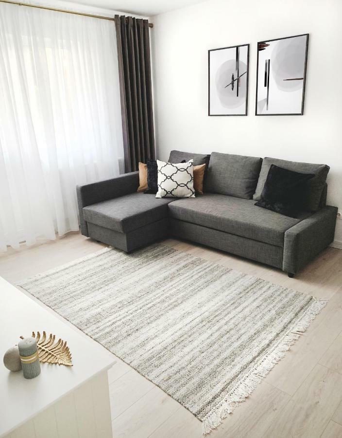 Mhc Quiet Deluxe Suite Near Downtown - Free Parking 布拉索夫 外观 照片