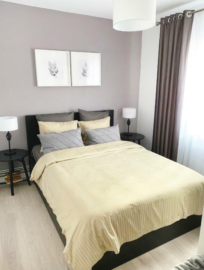 Mhc Quiet Deluxe Suite Near Downtown - Free Parking 布拉索夫 外观 照片